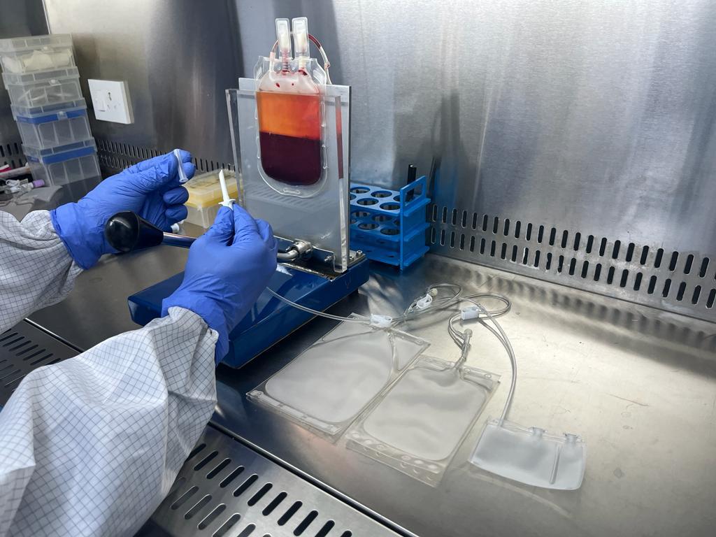 Freezing Transfer Bags