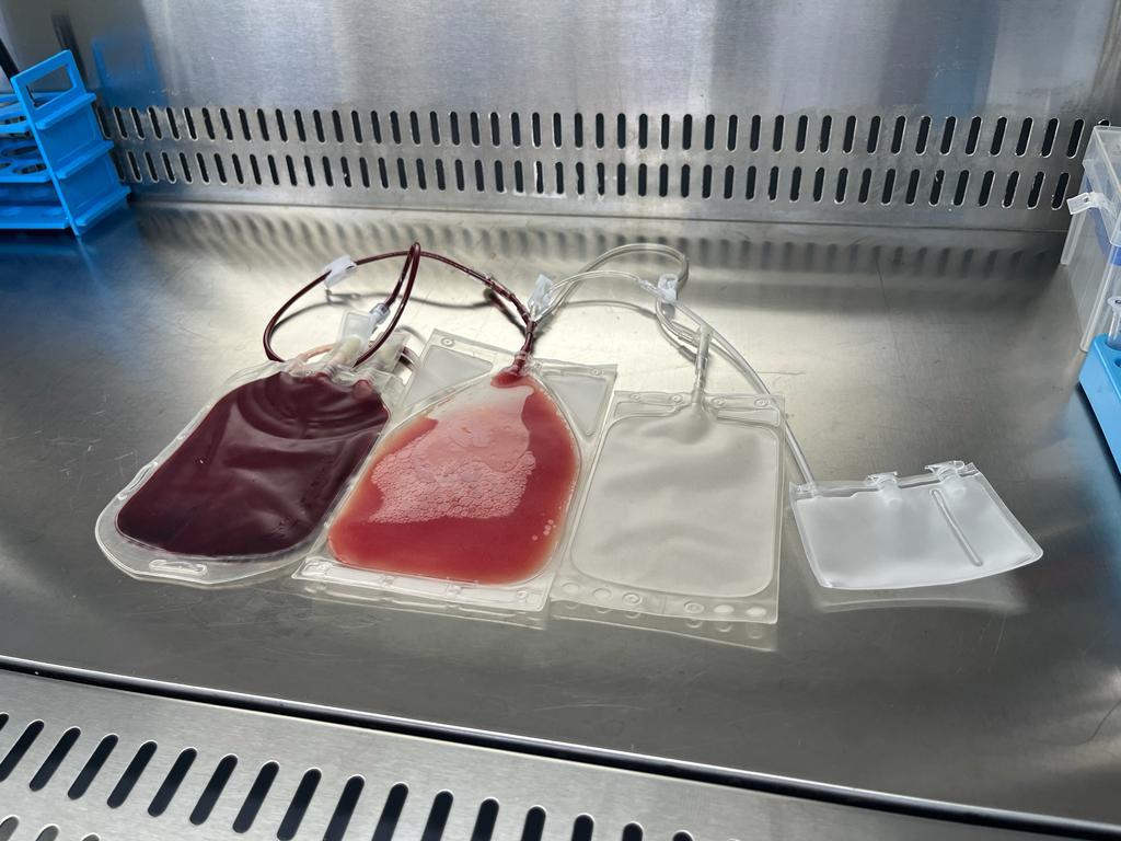 Freezing Transfer Bags